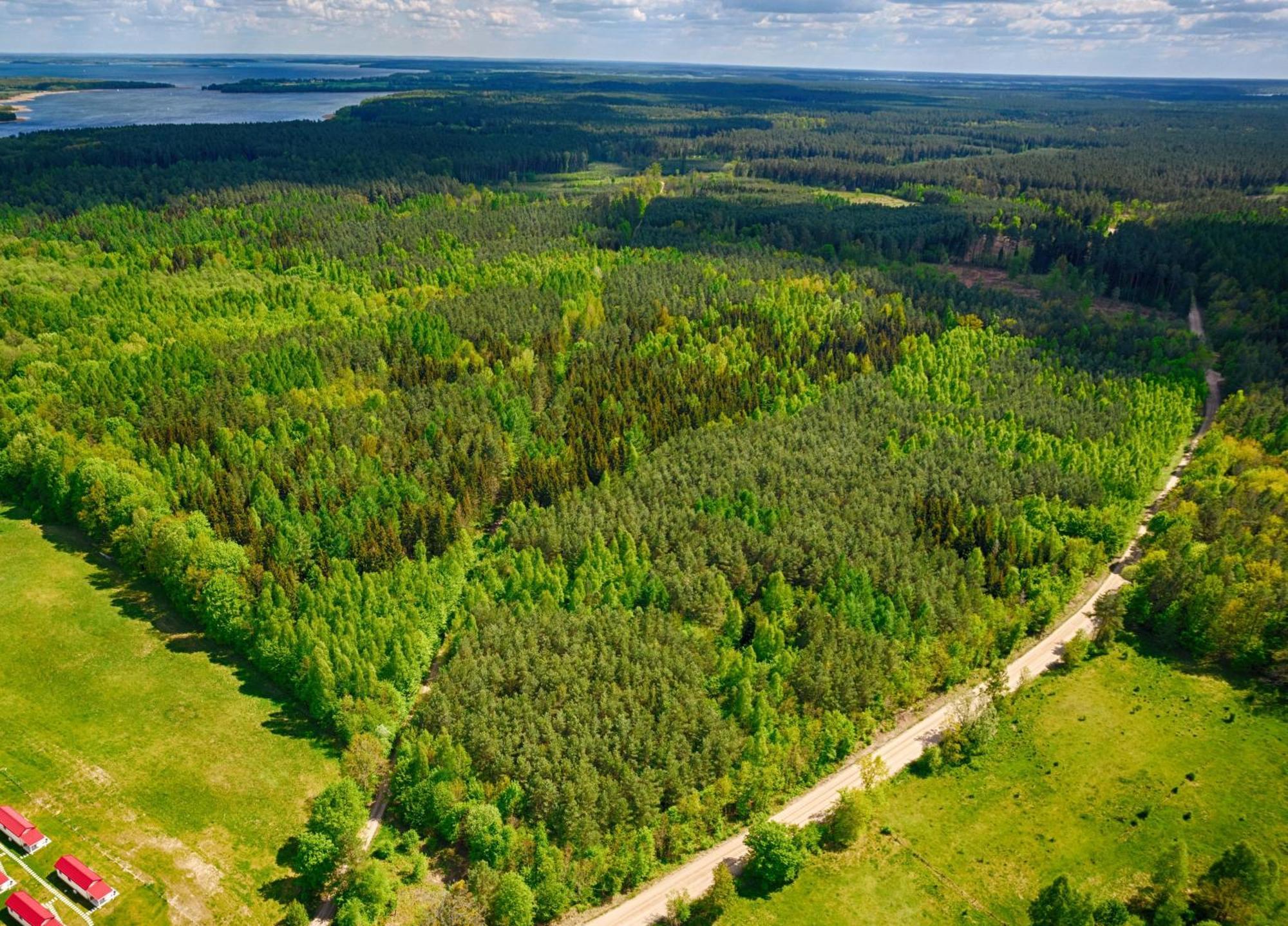 Osada Wilaneska Villa Mikołajki Bagian luar foto